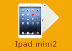 IPad mini2